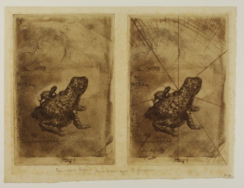 buhot_crapaud_bronze_sarah_sauvin (1)
